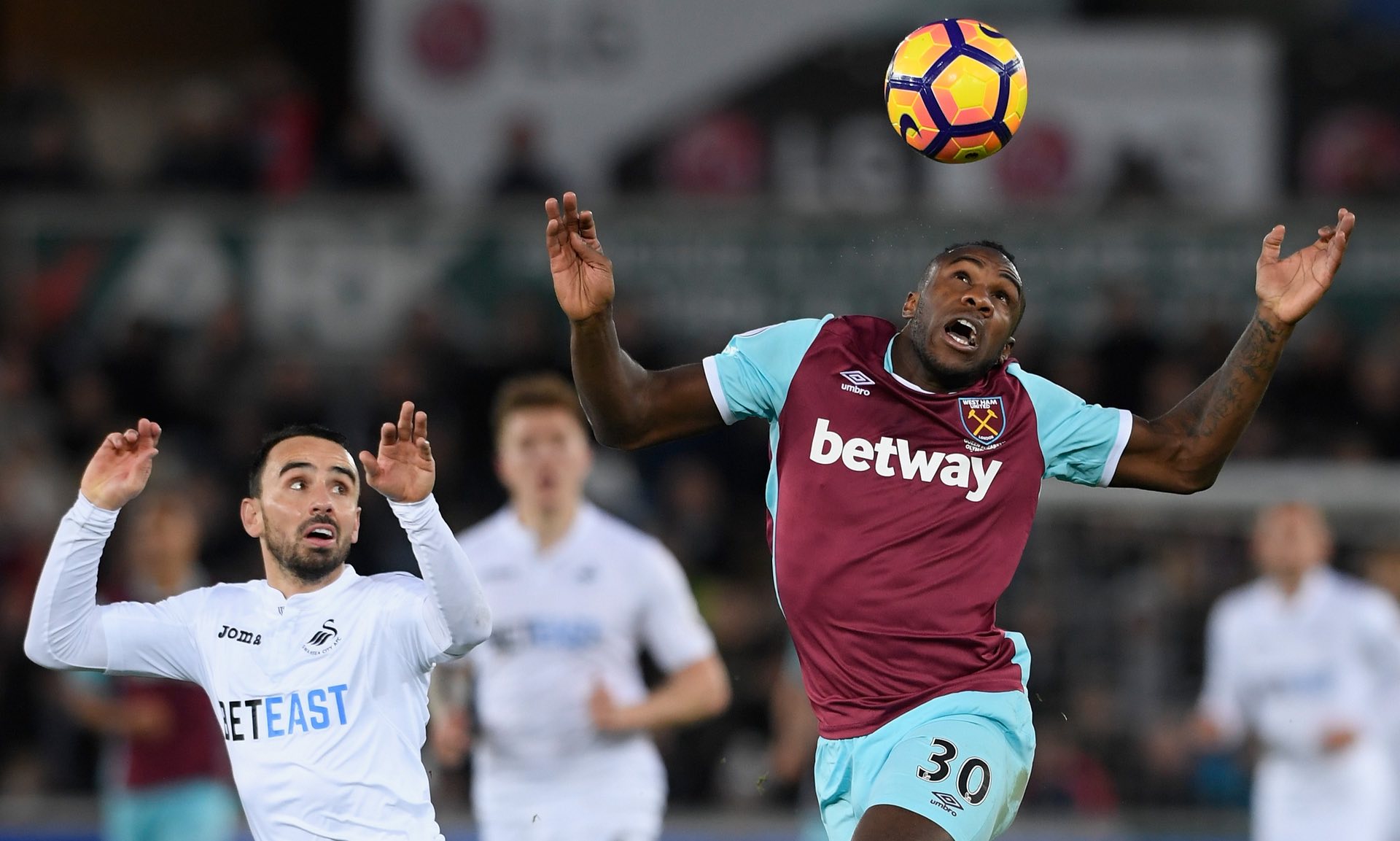 了意大利足 了意大利足